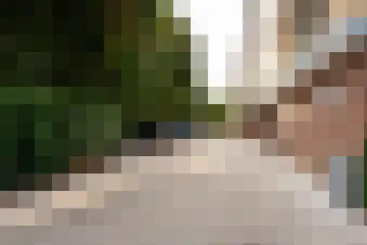 Haydnlaan 11 Baarn thumbnail 23
