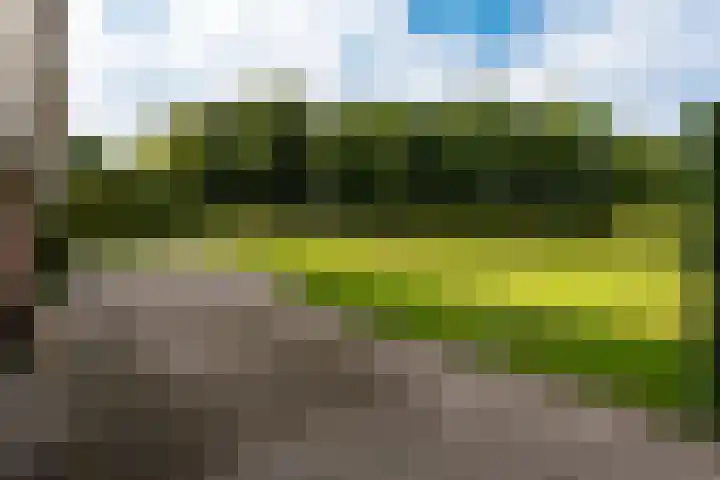 Haydnlaan 11 Baarn thumbnail 24