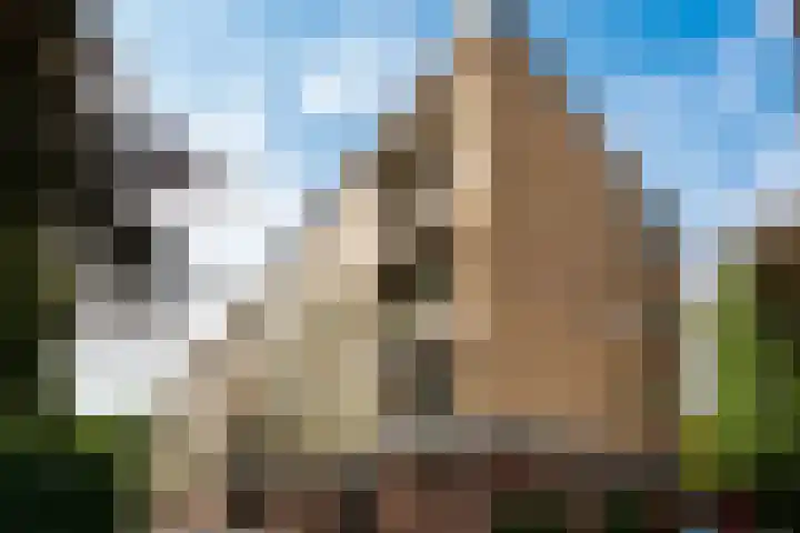 Haydnlaan 11 Baarn thumbnail 28