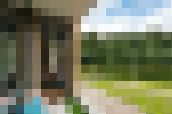 Haydnlaan 11 Baarn thumbnail 5