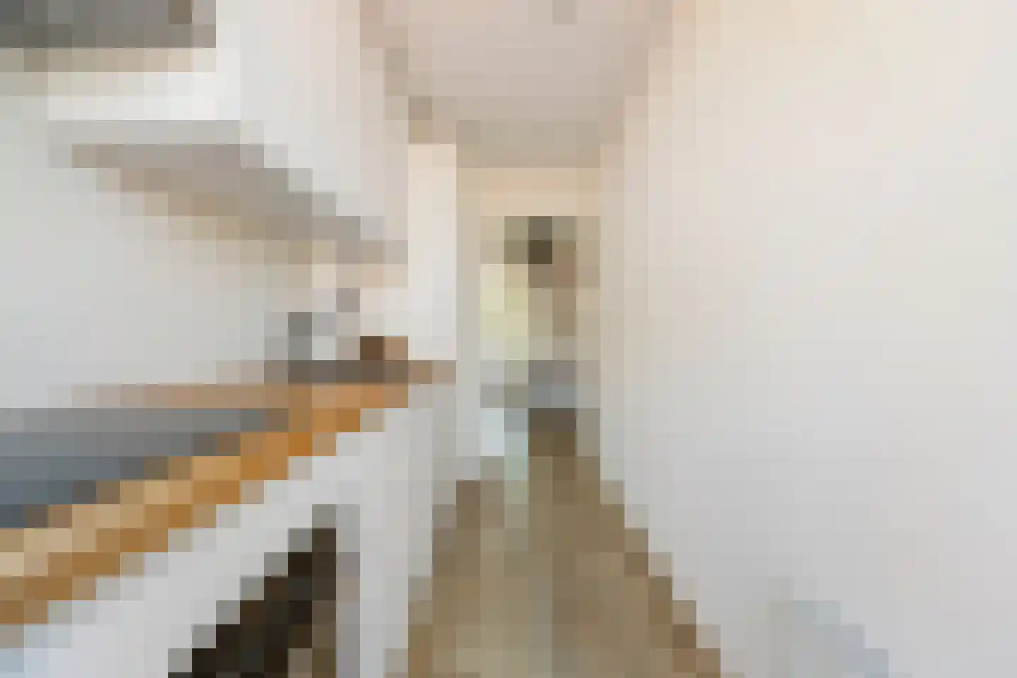 Haydnlaan 123 Groningen thumbnail 27