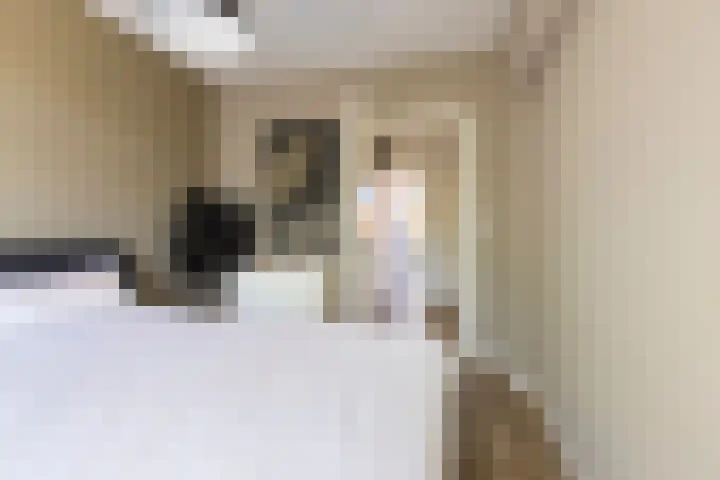 Haydnlaan 123 Groningen thumbnail 30