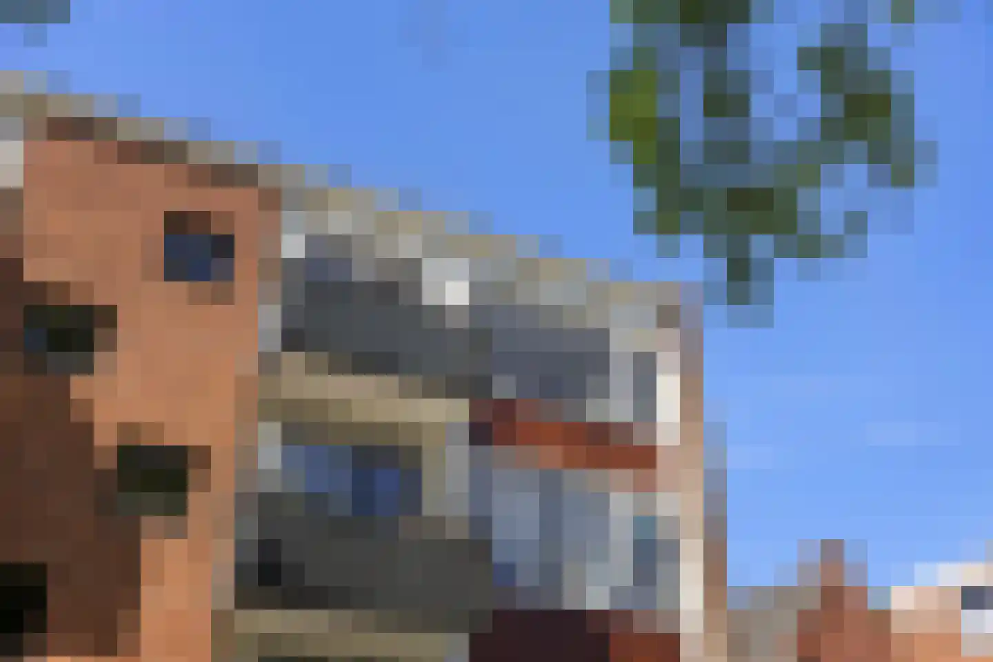 Haydnlaan 123 Groningen thumbnail 39