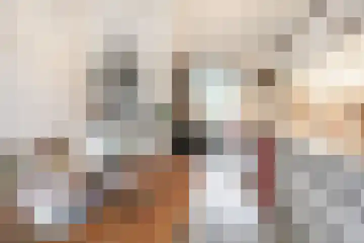 Haydnlaan 17 Groningen thumbnail 11