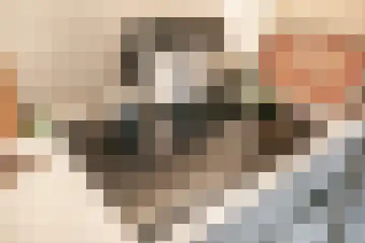 Haydnlaan 17 Groningen thumbnail 12