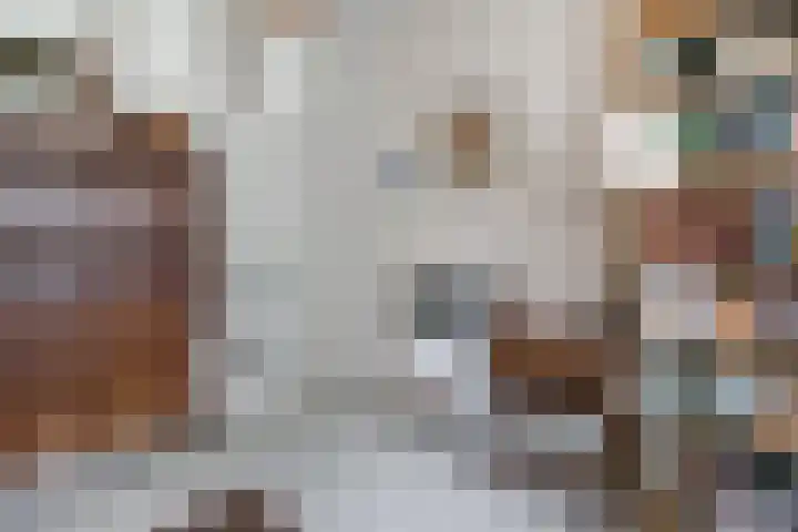 Haydnlaan 17 Groningen thumbnail 16
