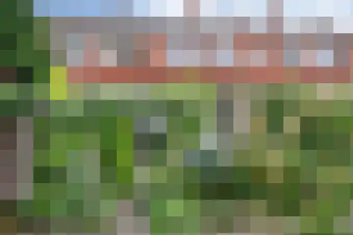 Haydnlaan 17 Groningen thumbnail 22