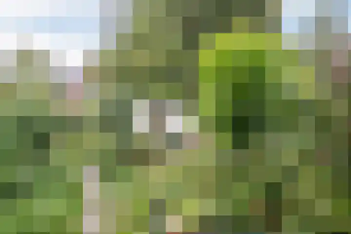 Haydnlaan 17 Groningen thumbnail 24