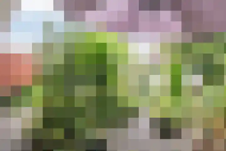 Haydnlaan 17 Groningen thumbnail 4