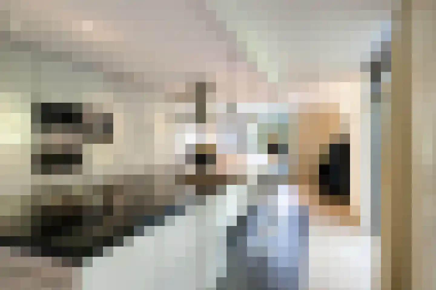 Haydnlaan 2 Rosmalen thumbnail 17