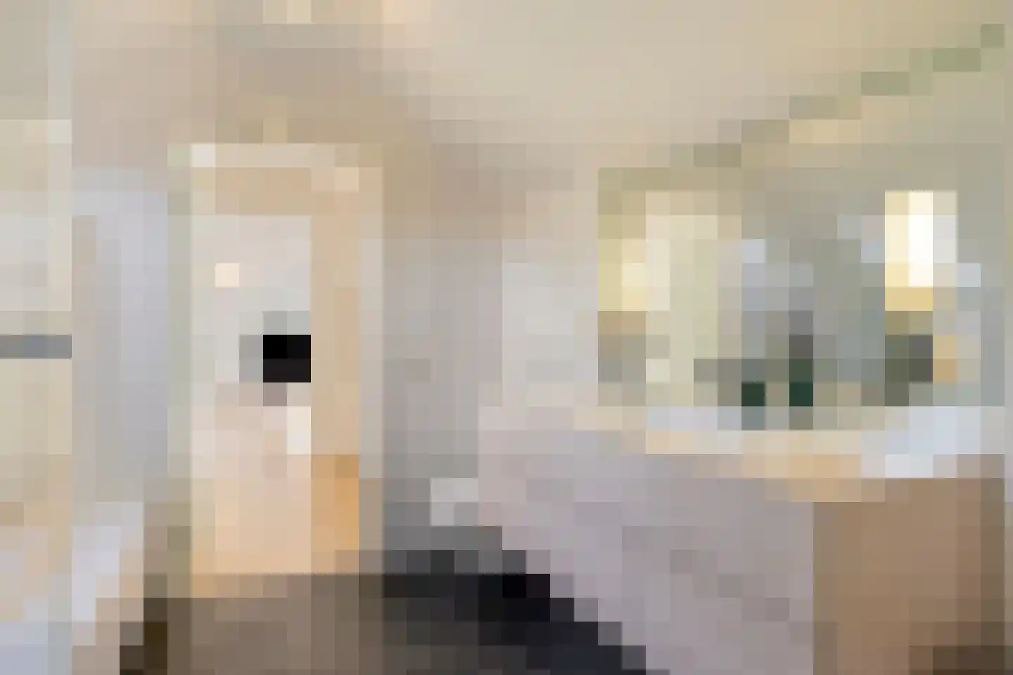 Haydnlaan 2 Rosmalen thumbnail 38