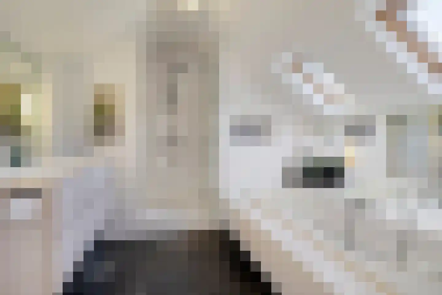 Haydnlaan 2 Rosmalen thumbnail 40