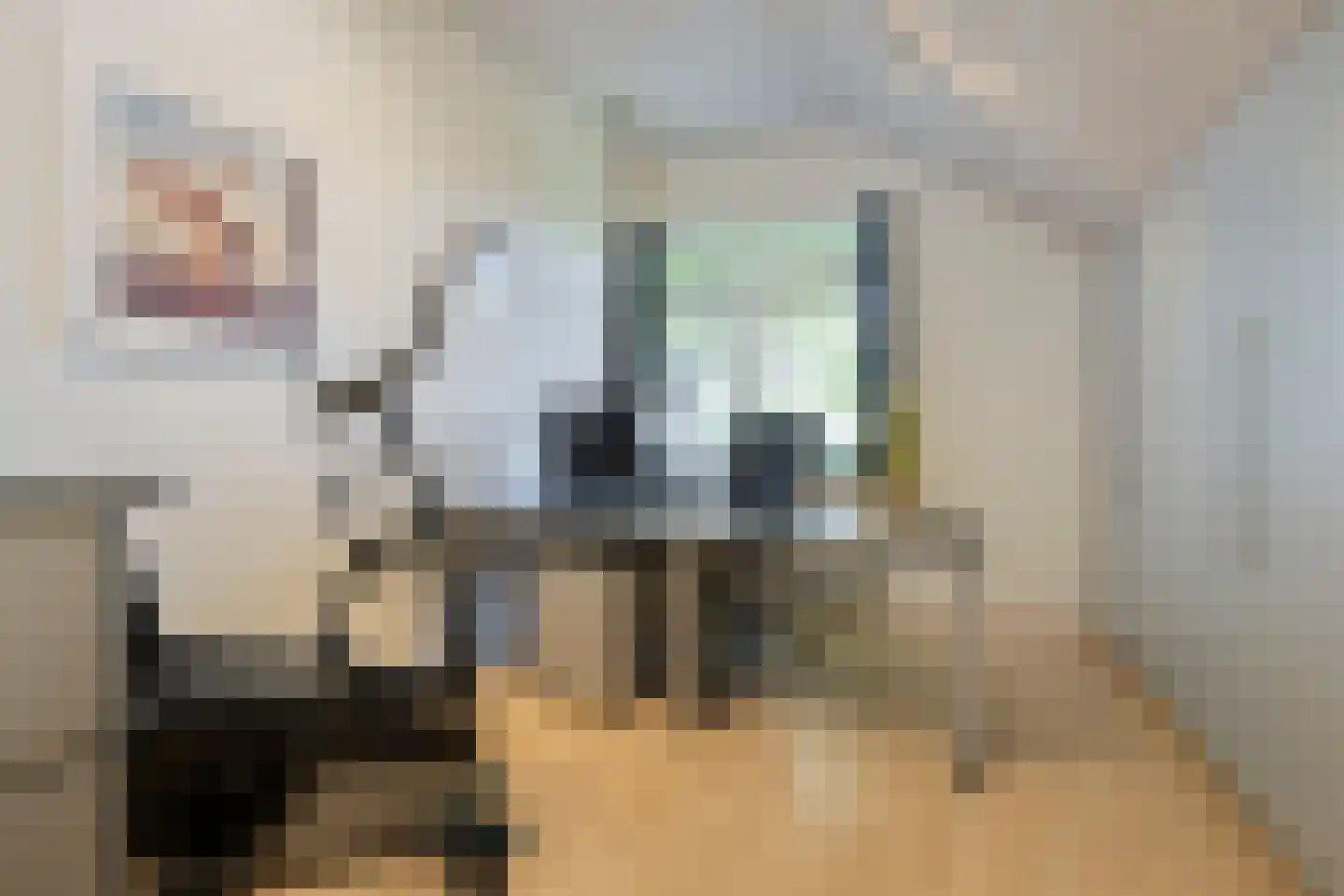 Haydnlaan 2 Rosmalen thumbnail 41