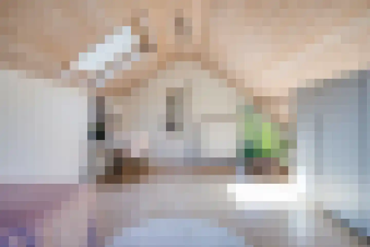 Haydnlaan 2 Rosmalen thumbnail 42