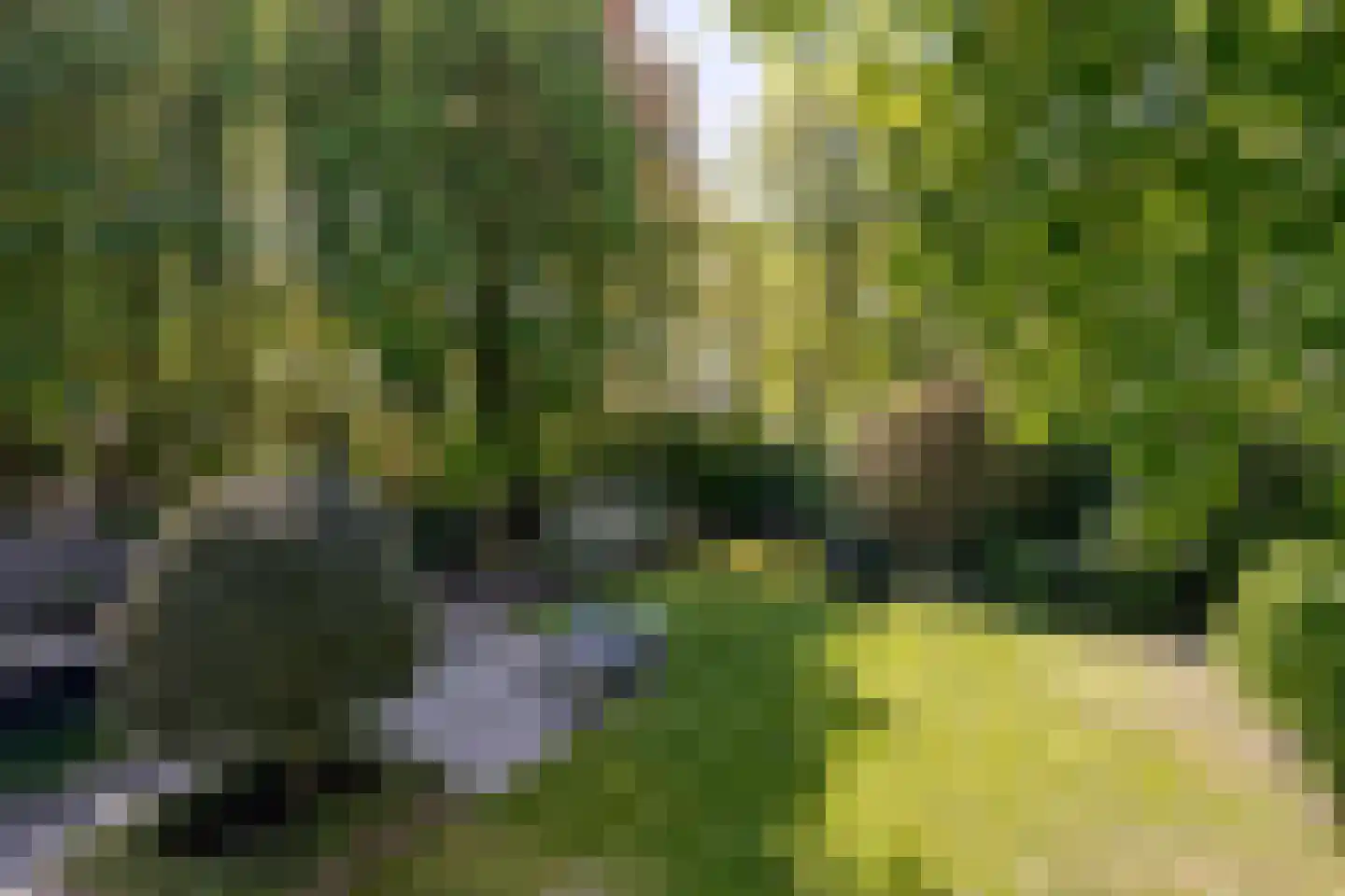 Haydnlaan 2 Rosmalen thumbnail 59