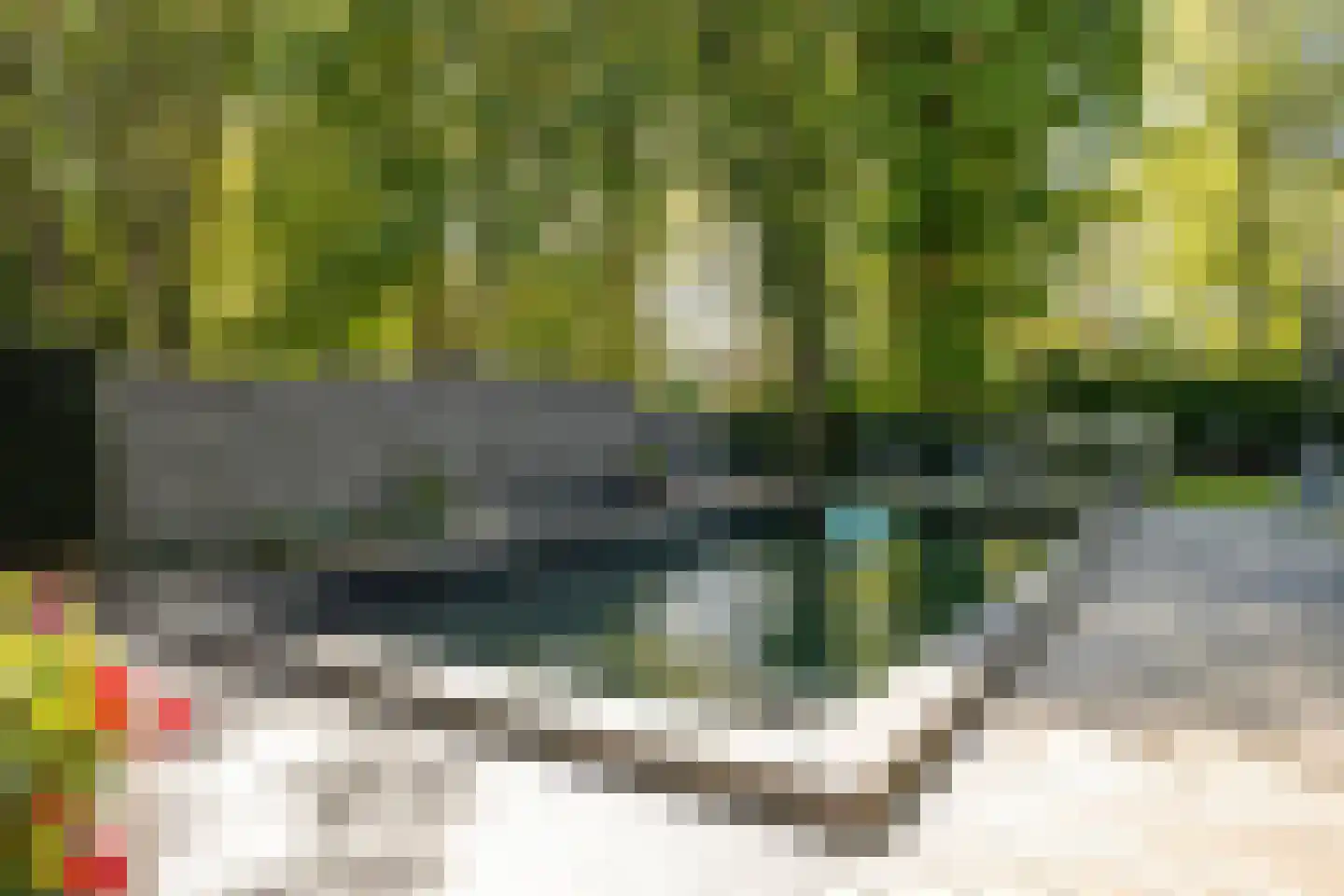 Haydnlaan 2 Rosmalen thumbnail 63