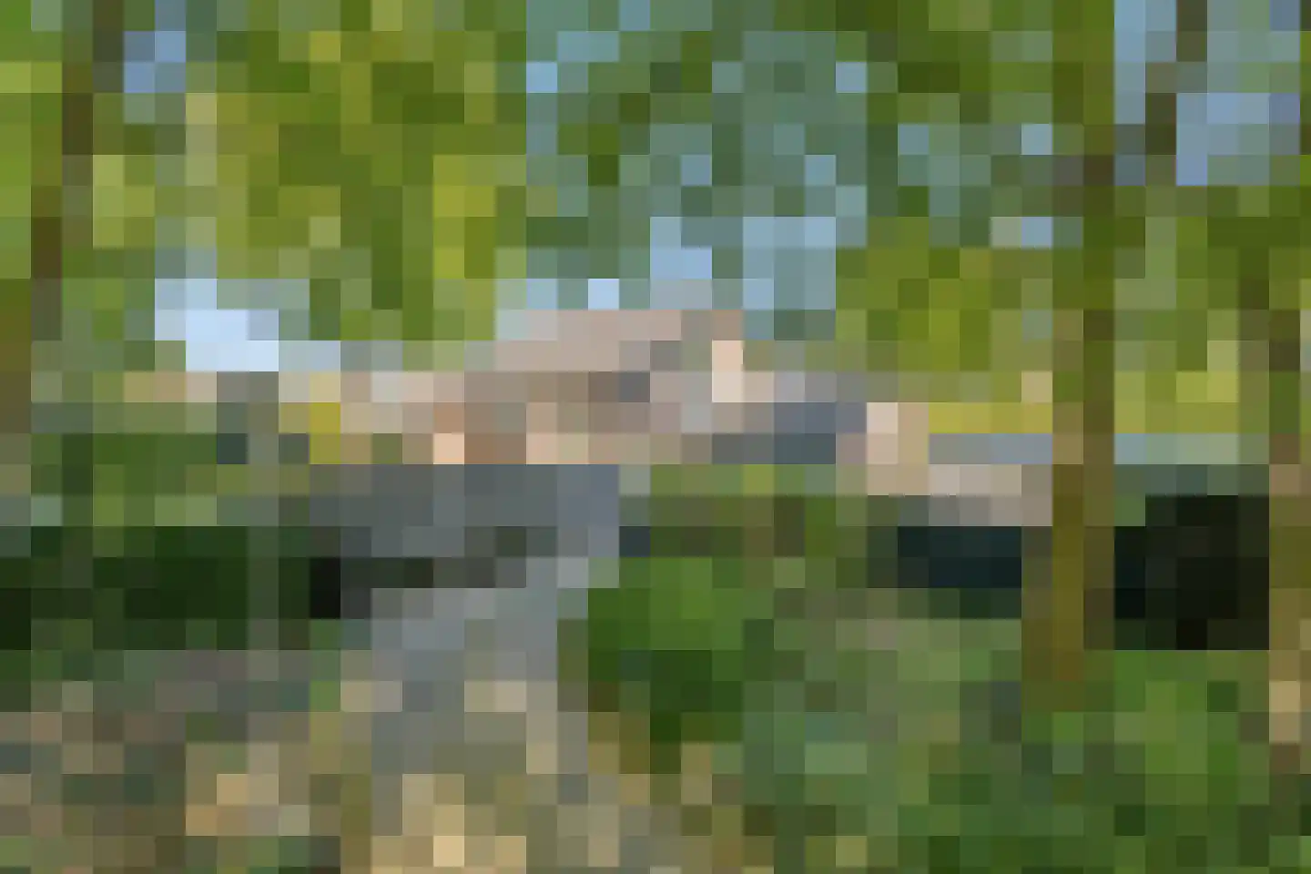 Haydnlaan 2 Rosmalen thumbnail 65