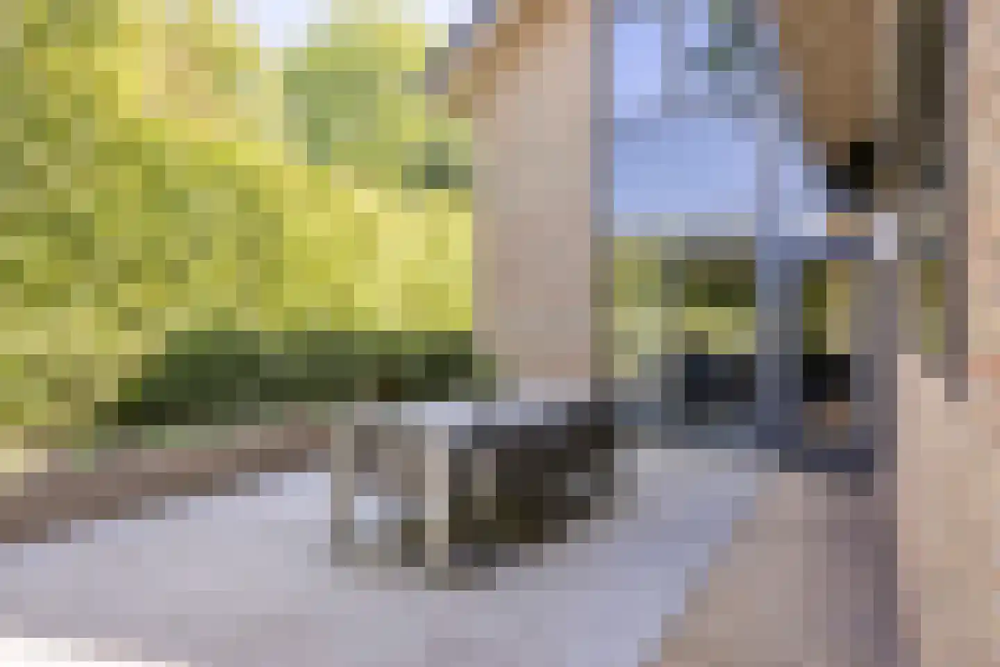 Haydnlaan 2 Rosmalen thumbnail 67