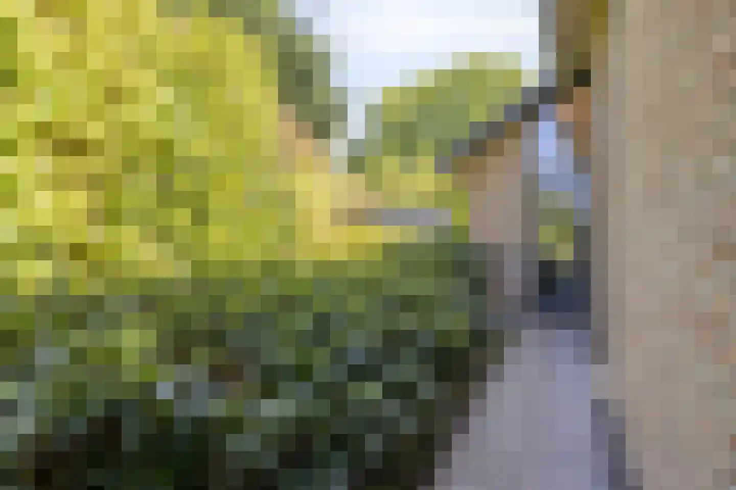 Haydnlaan 2 Rosmalen thumbnail 69