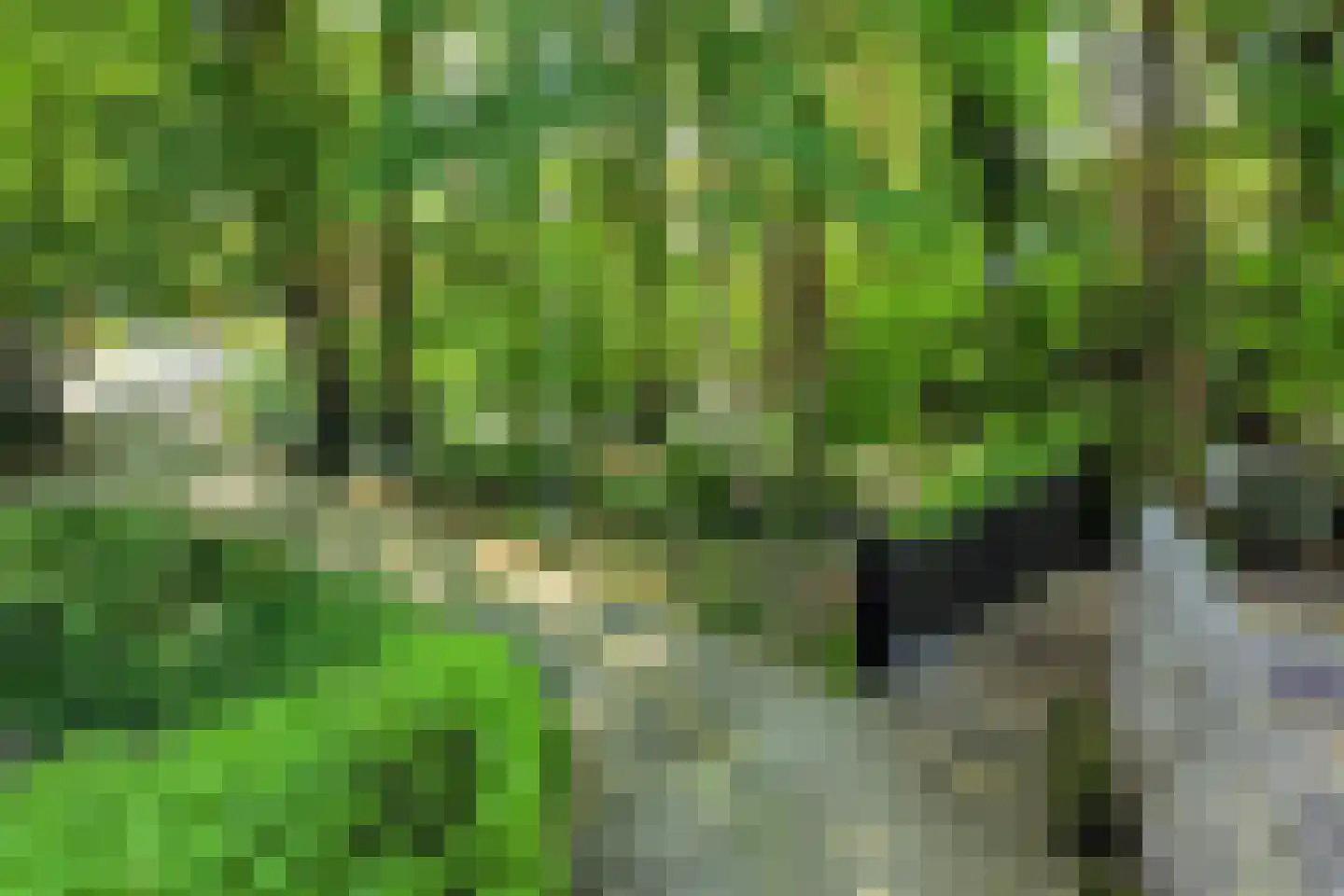 Haydnlaan 2 Rosmalen thumbnail 75