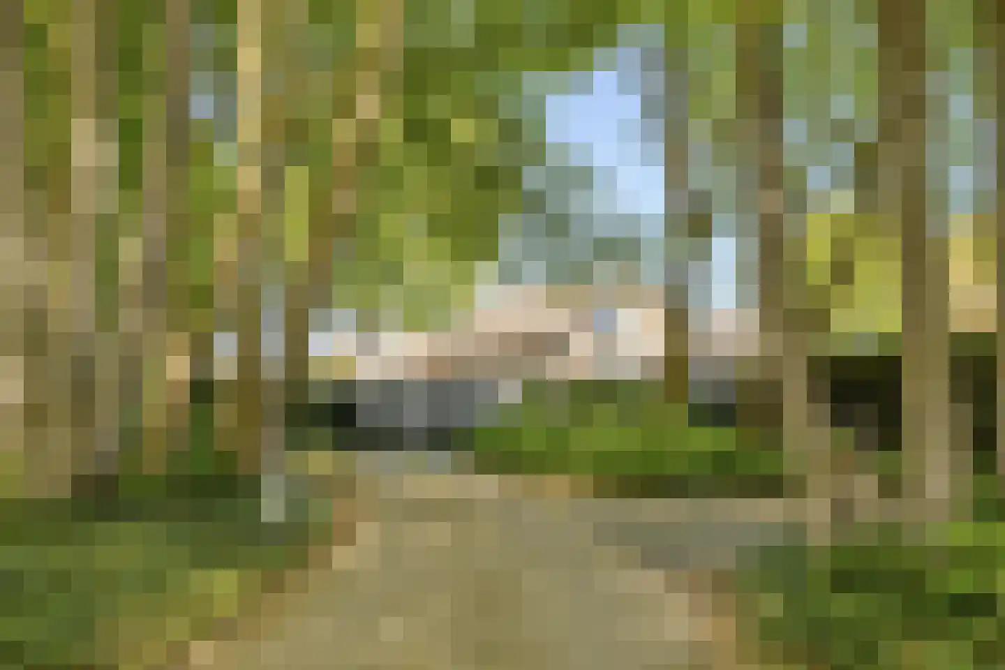 Haydnlaan 2 Rosmalen thumbnail 78