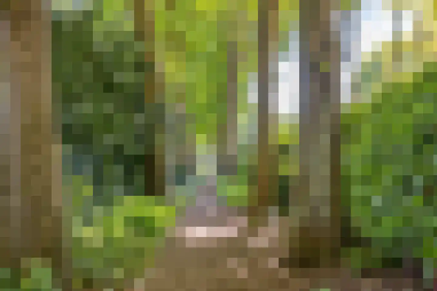 Haydnlaan 2 Rosmalen thumbnail 79