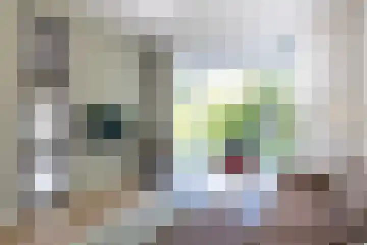 Haydnlaan 21 Bilthoven thumbnail 20