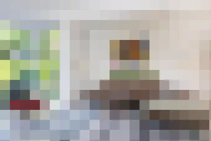 Haydnlaan 21 Bilthoven thumbnail 22