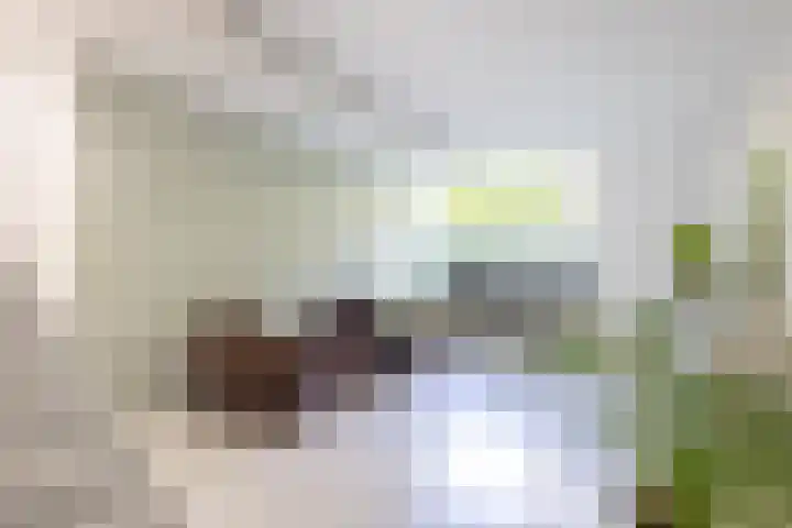 Haydnlaan 21 Bilthoven thumbnail 29