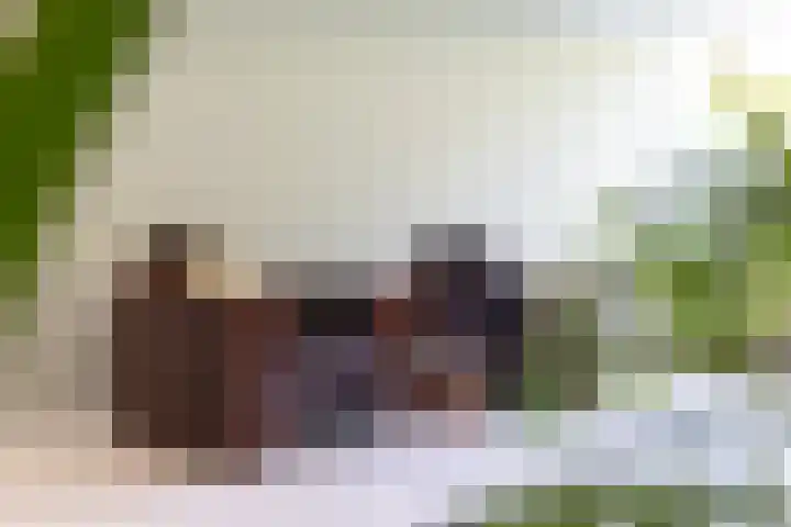 Haydnlaan 21 Bilthoven thumbnail 32