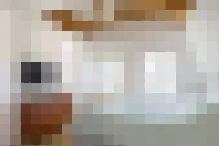 Haydnlaan 21 Bilthoven thumbnail 37
