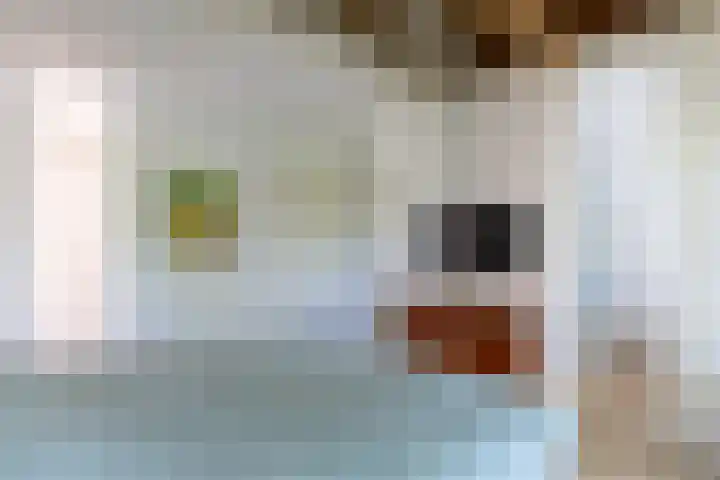Haydnlaan 21 Bilthoven thumbnail 38