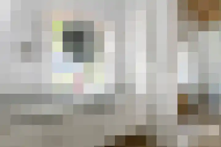 Haydnlaan 21 Bilthoven thumbnail 40