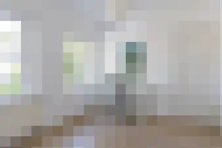 Haydnlaan 21 Bilthoven thumbnail 46