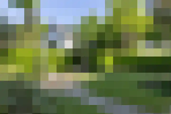 Haydnlaan 21 Bilthoven thumbnail 53