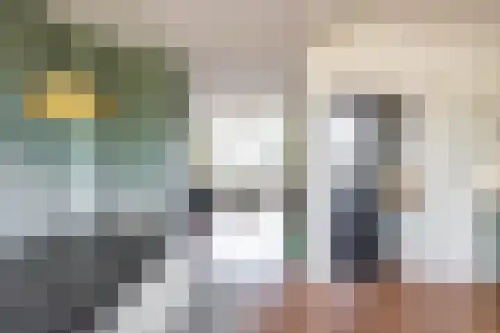Haydnlaan 21 Groningen thumbnail 30