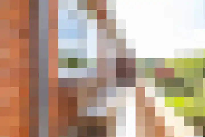 Haydnlaan 21 Groningen thumbnail 32