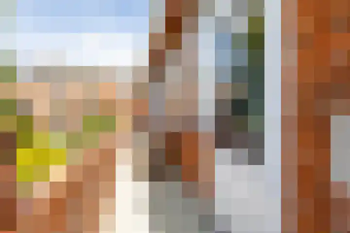 Haydnlaan 21 Groningen thumbnail 33