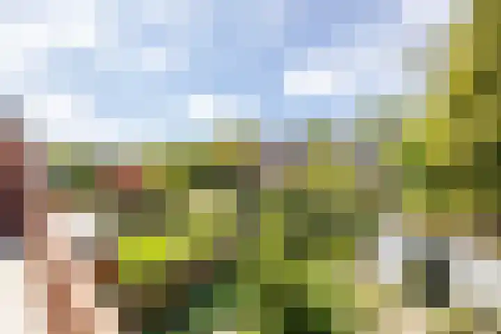 Haydnlaan 21 Groningen thumbnail 35