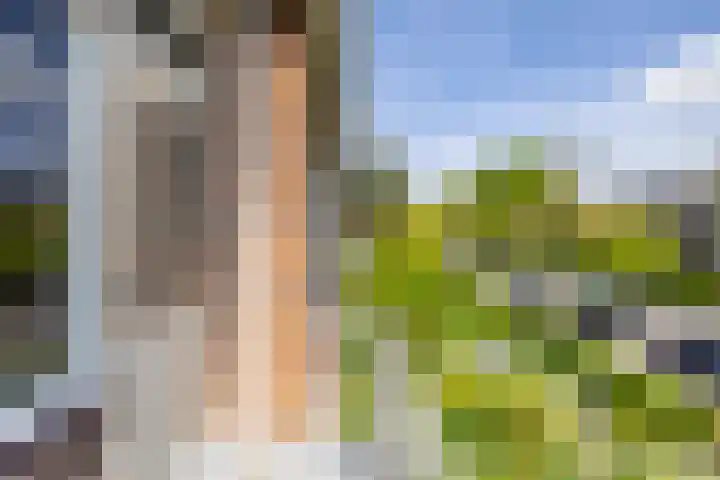Haydnlaan 21 Groningen thumbnail 50