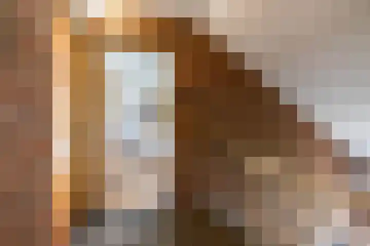 Haydnlaan 21 Groningen thumbnail 51