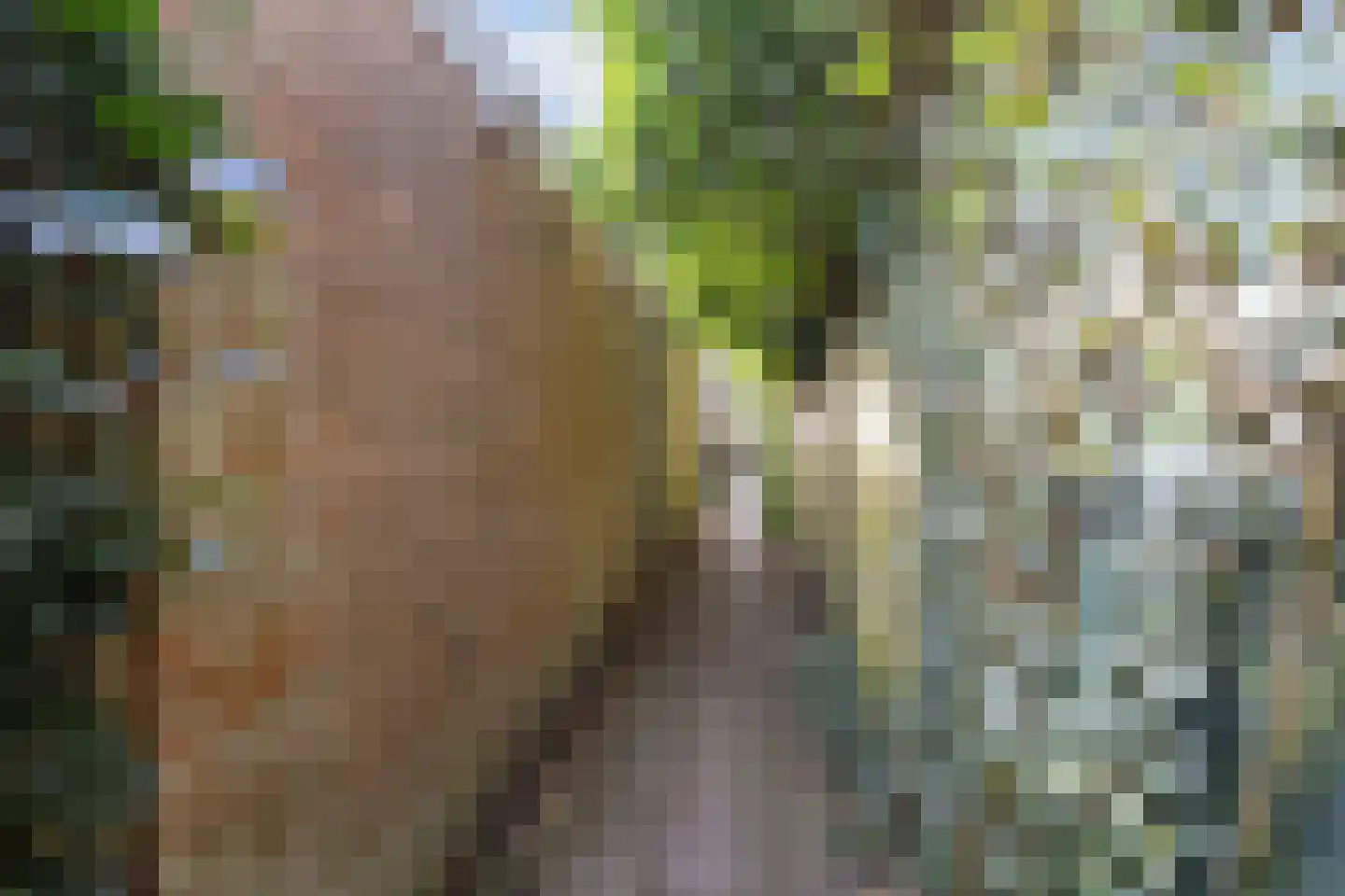 Haydnlaan 23 Groningen thumbnail 32