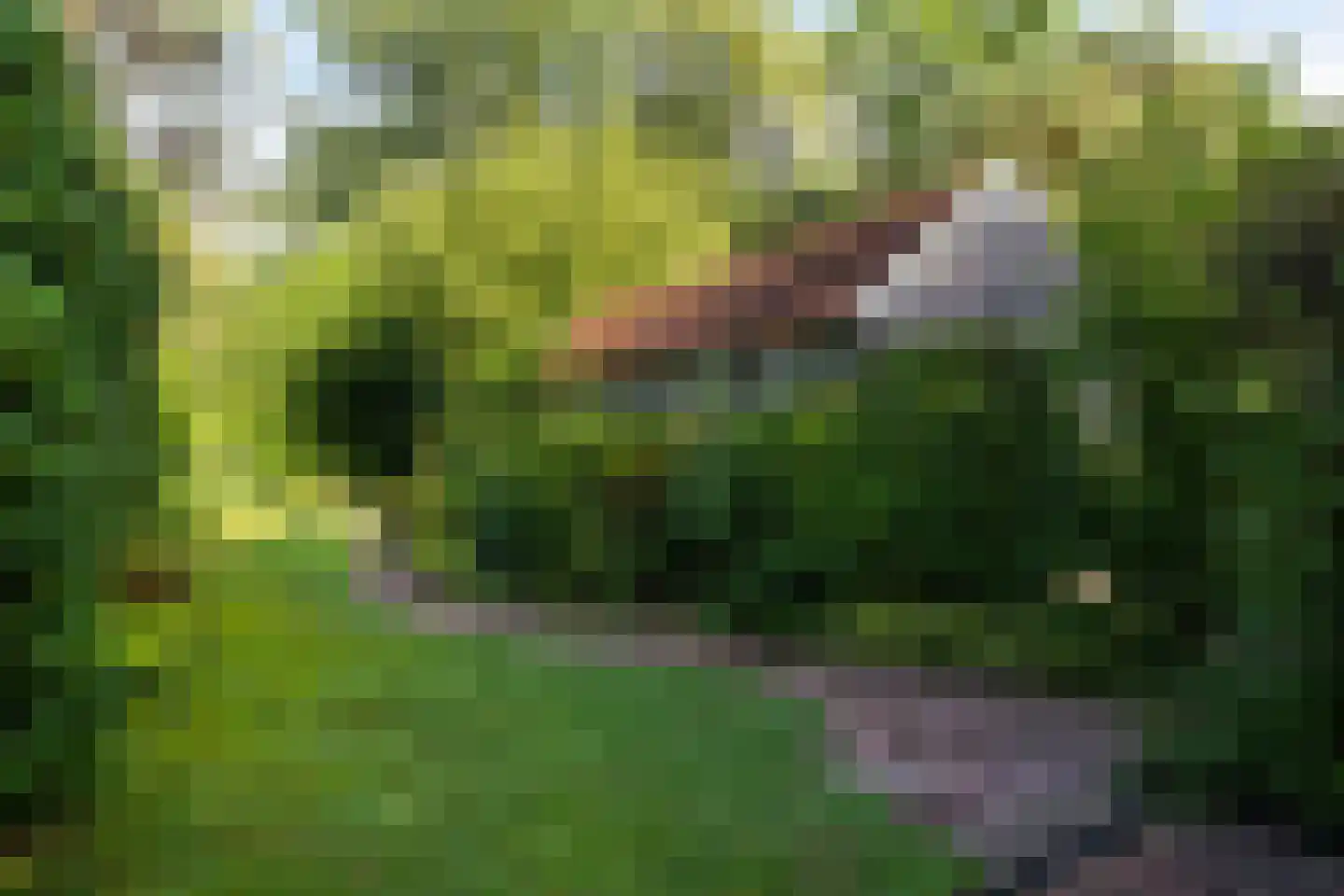 Haydnlaan 29 Bilthoven thumbnail 19