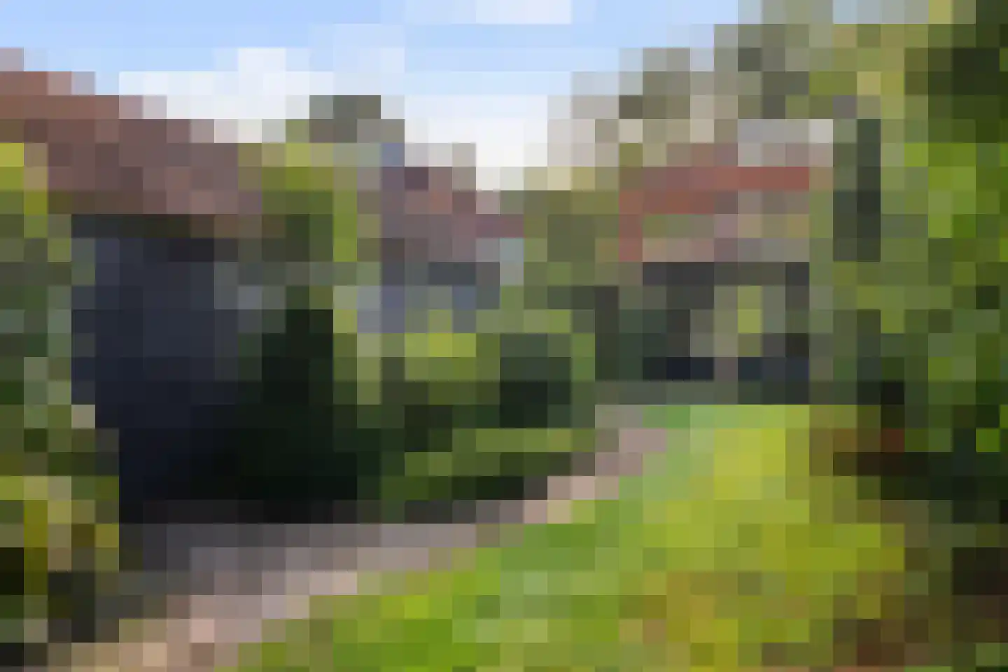 Haydnlaan 29 Bilthoven thumbnail 20