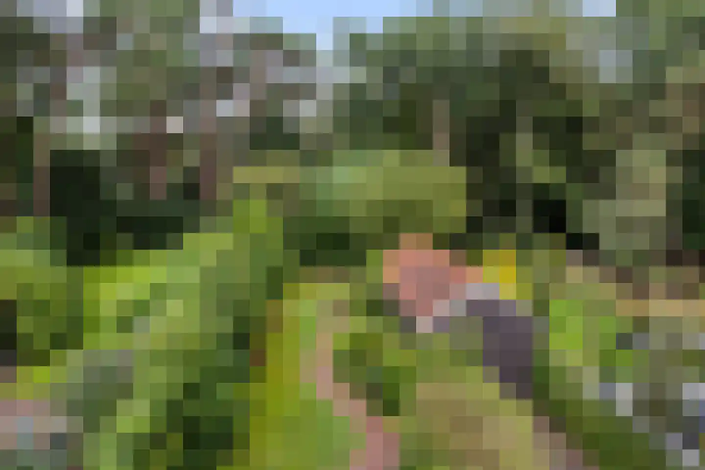 Haydnlaan 29 Bilthoven thumbnail 35