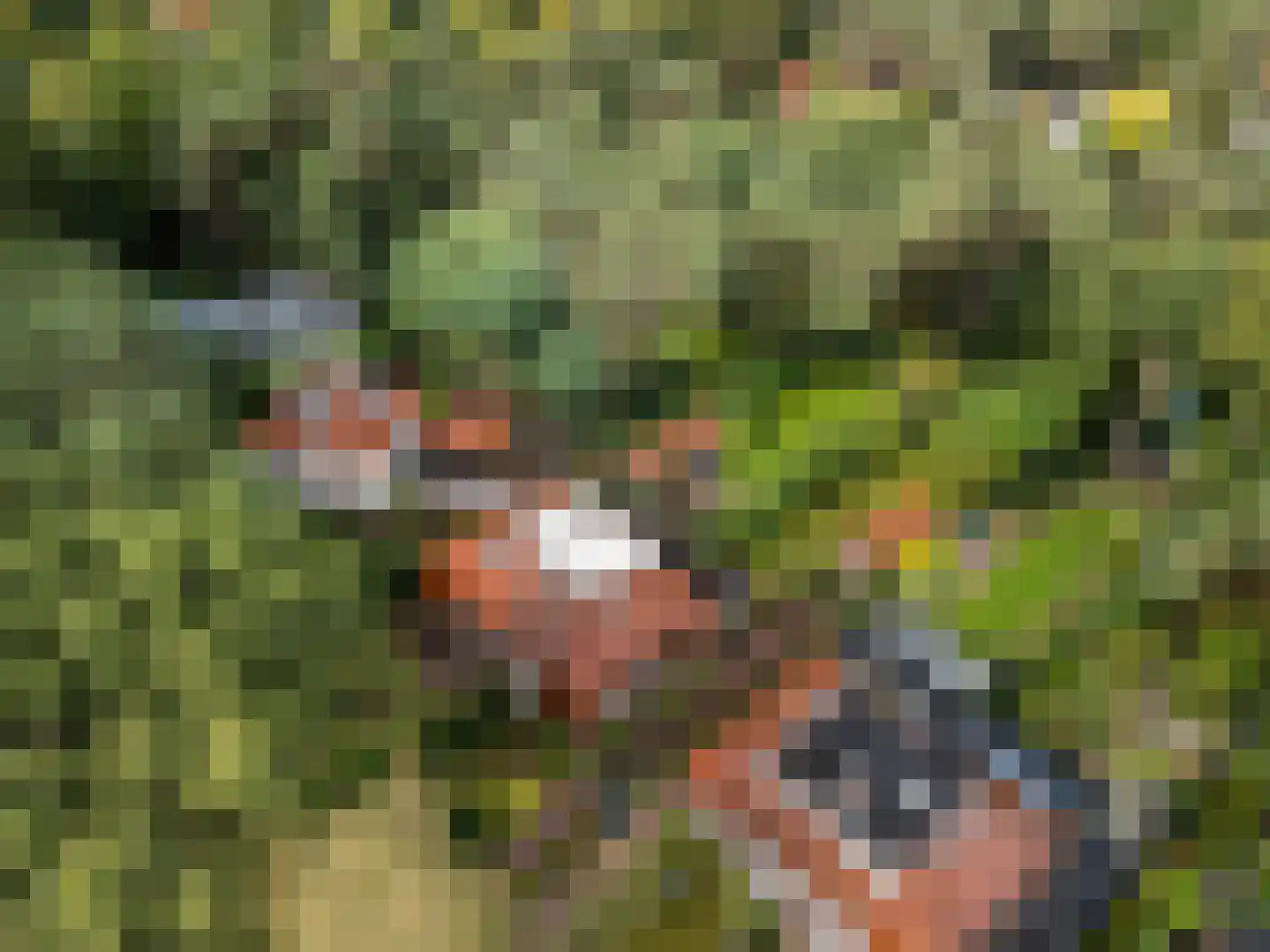 Haydnlaan 29 Bilthoven thumbnail 36