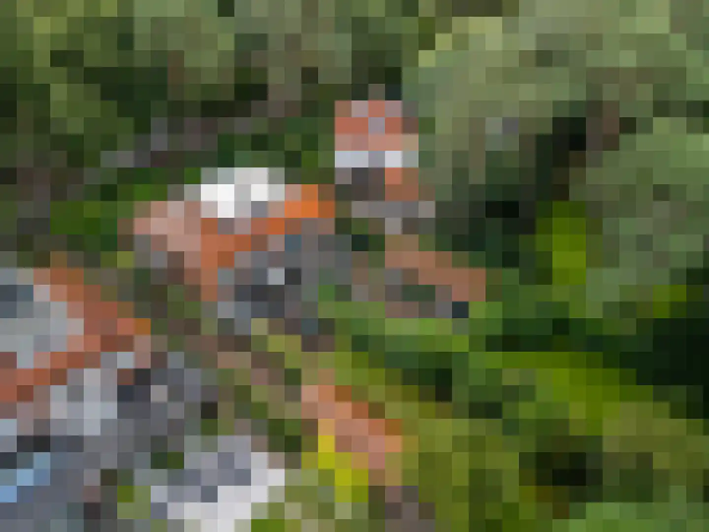 Haydnlaan 29 Bilthoven thumbnail 37