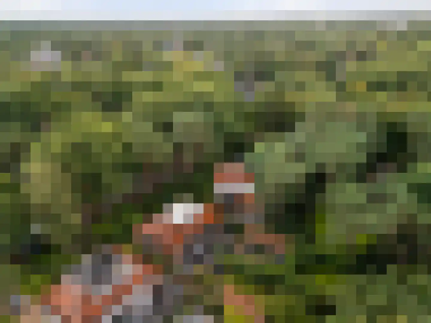 Haydnlaan 29 Bilthoven thumbnail 38