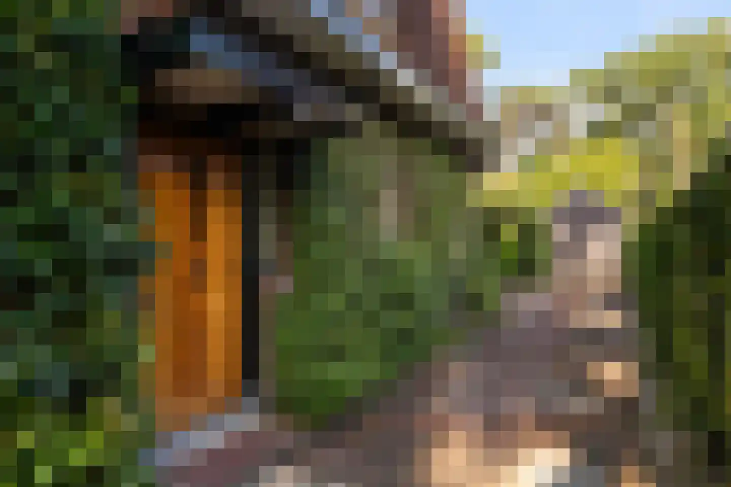Haydnlaan 29 Bilthoven thumbnail 6