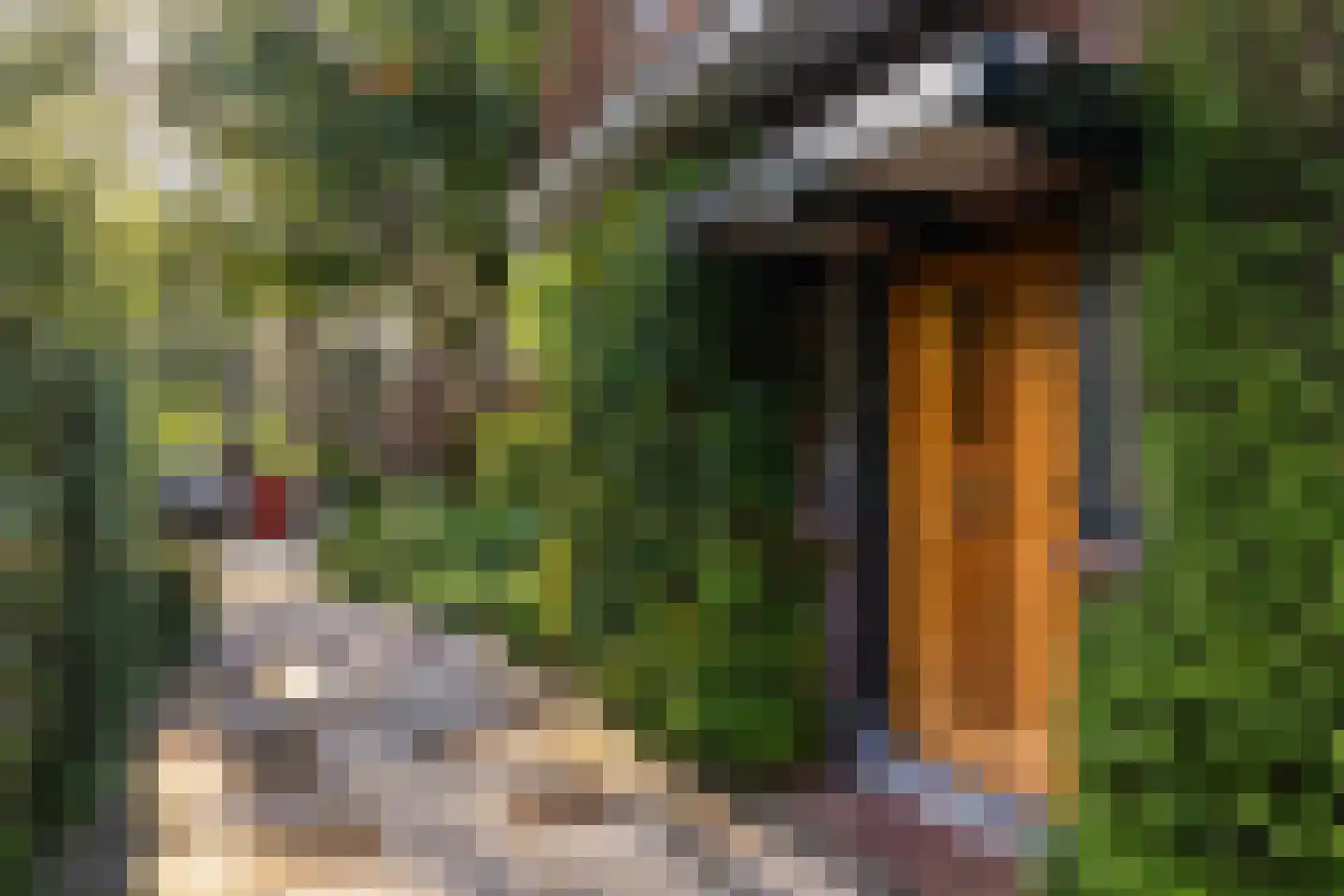 Haydnlaan 29 Bilthoven thumbnail 7